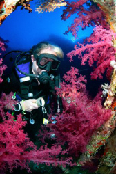 Heather and the wreck of the Aida - Big Brother Island- R... by Jim Garland 